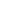 Logo 2 Aduana